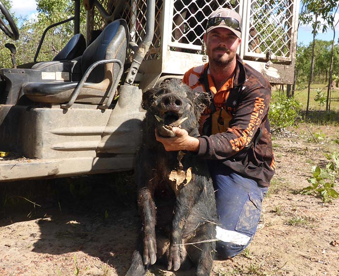 First Northern Territory Boars Hogs Dogs & Quads