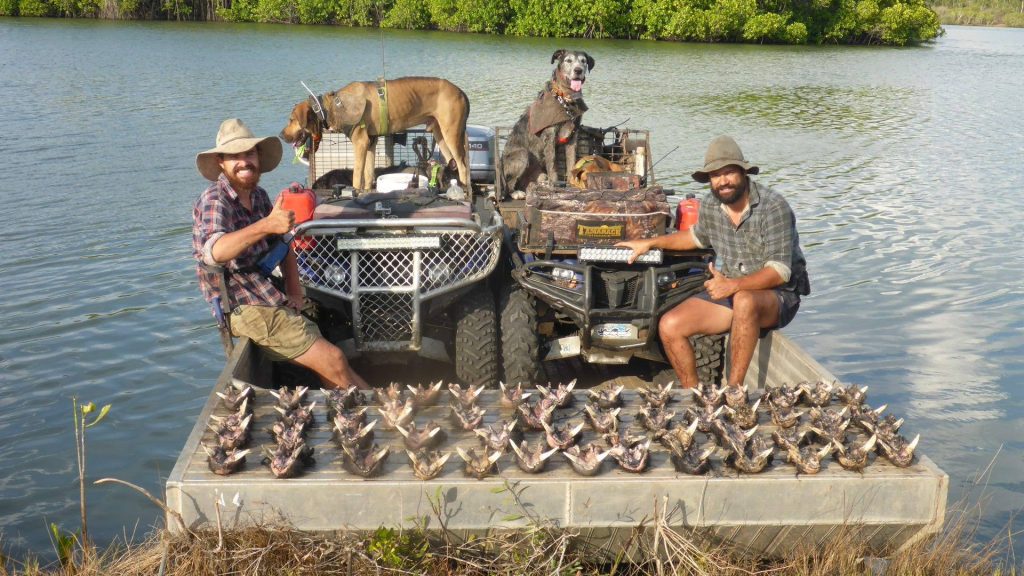 Boats Hogs Dogs & Quads