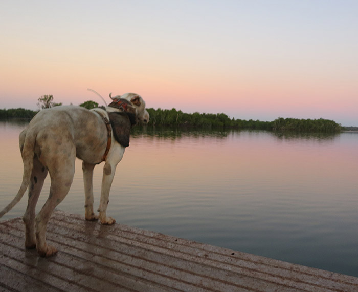 Getting ready to smash into 2015 Hogs Dogs & Quads