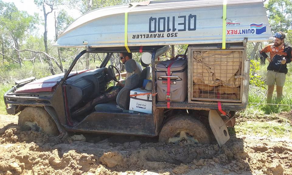 Buggy Hogs Dogs & Quads