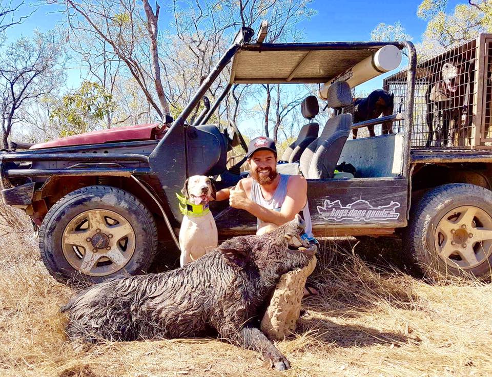 Buggy Hogs Dogs & Quads