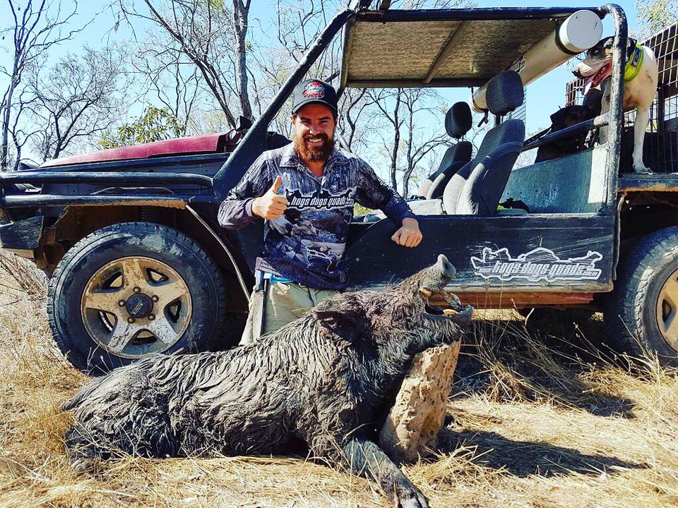 Buggy Hogs Dogs & Quads